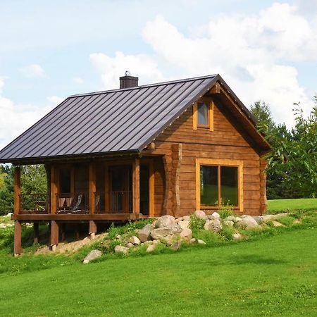Vip Forest Dreams Villa Anykščiai Esterno foto