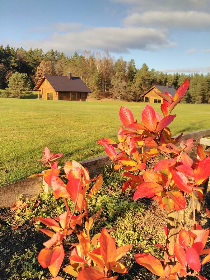 Vip Forest Dreams Villa Anykščiai Esterno foto