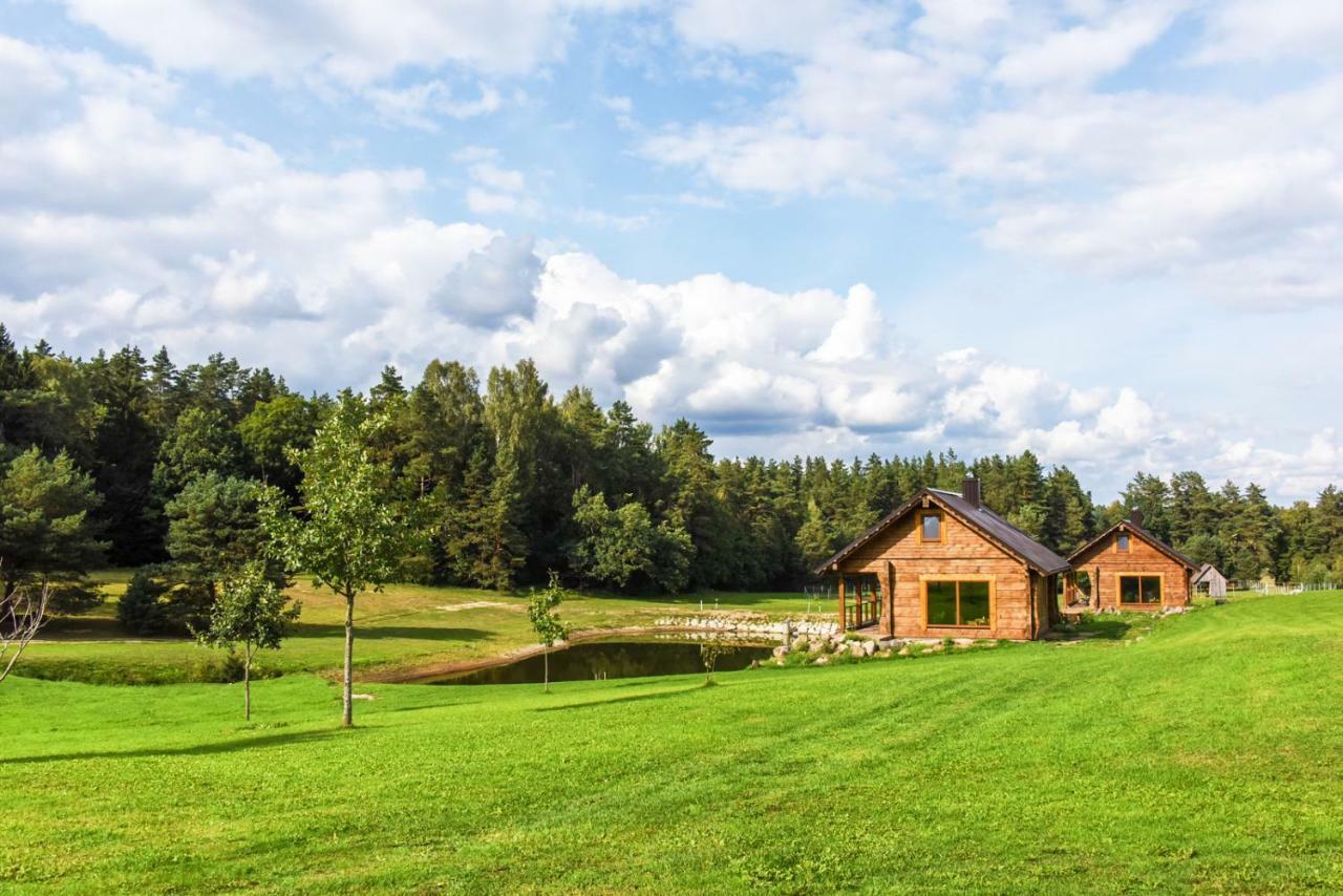 Vip Forest Dreams Villa Anykščiai Esterno foto