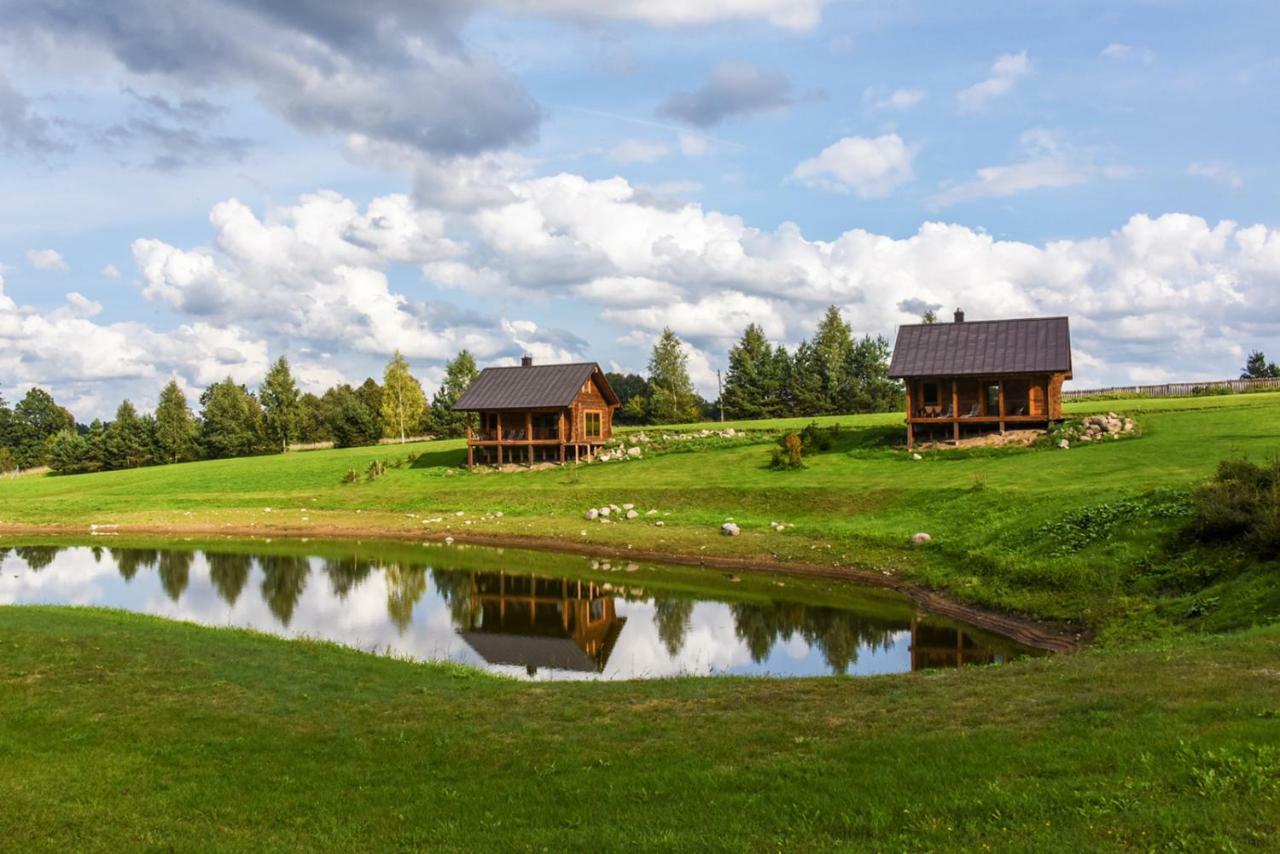 Vip Forest Dreams Villa Anykščiai Esterno foto