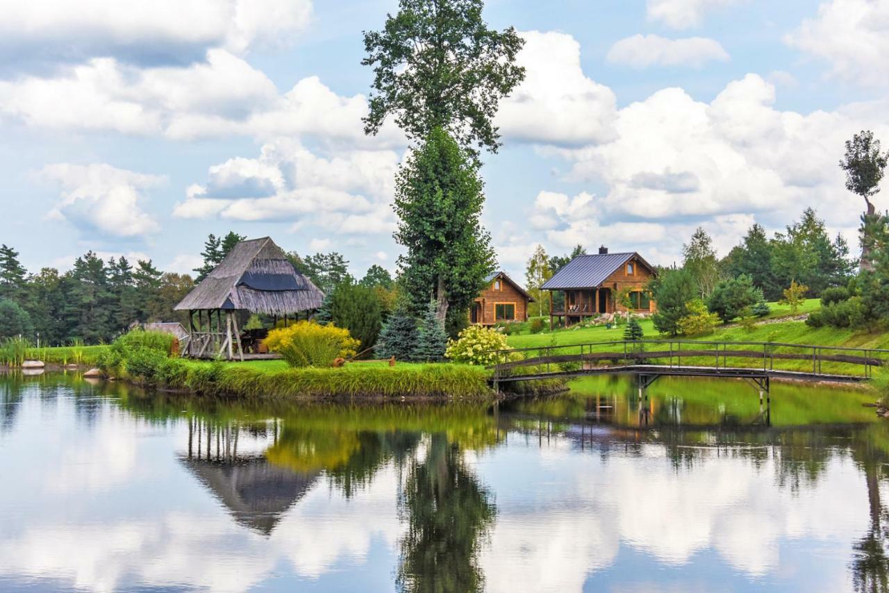 Vip Forest Dreams Villa Anykščiai Esterno foto